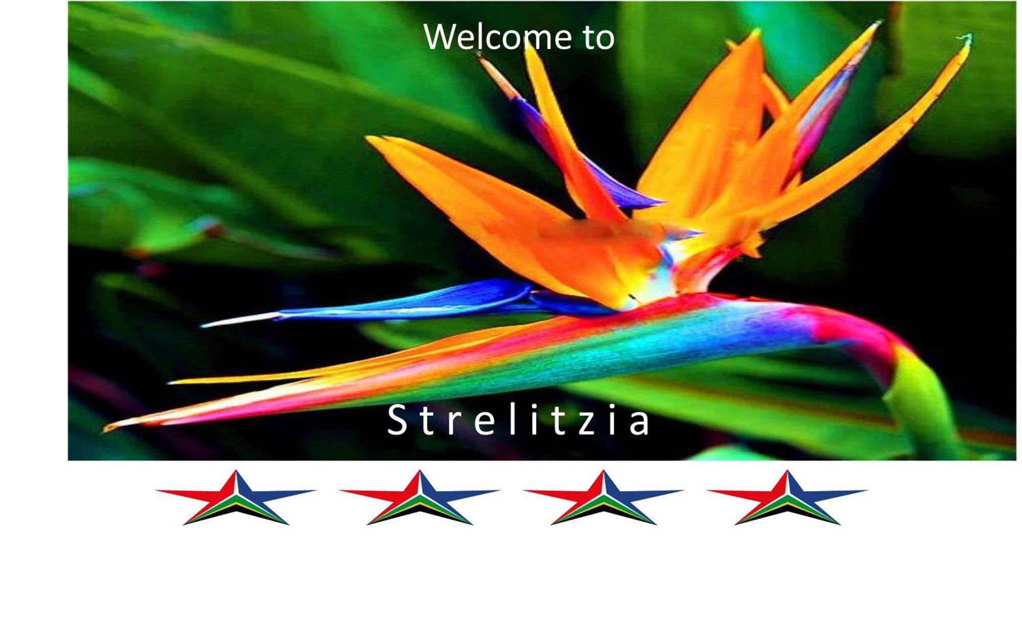 Apartment Strelitzia, Spacious With A Stunning View *
